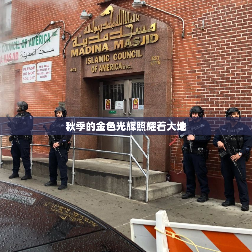 秋季的金色光辉照耀着大地