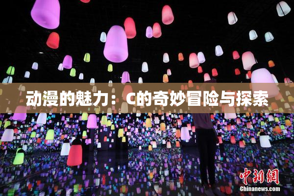 动漫的魅力：C的奇妙冒险与探索