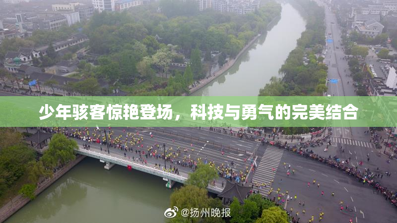少年骇客惊艳登场，科技与勇气的完美结合
