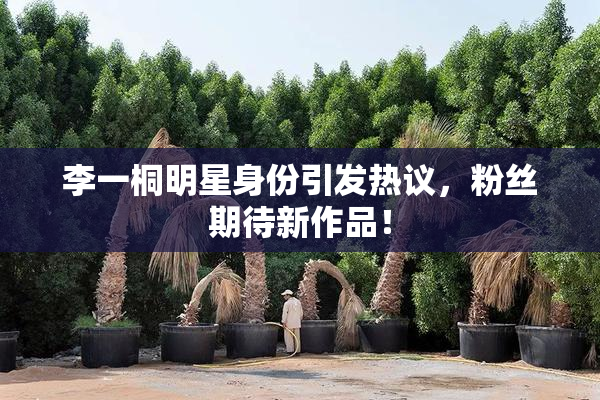 李一桐明星身份引发热议，粉丝期待新作品！