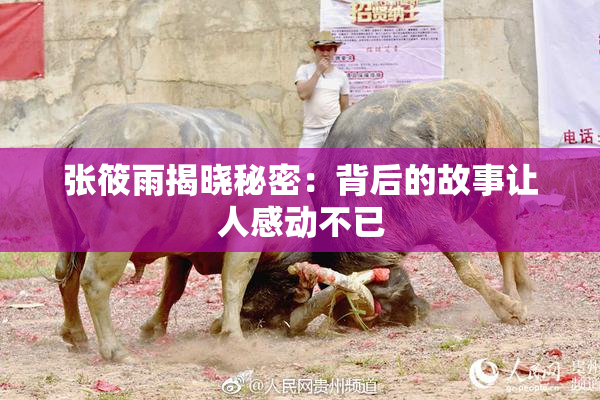 张筱雨揭晓秘密：背后的故事让人感动不已