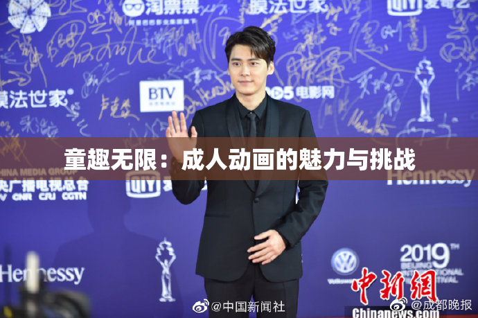 童趣无限：成人动画的魅力与挑战