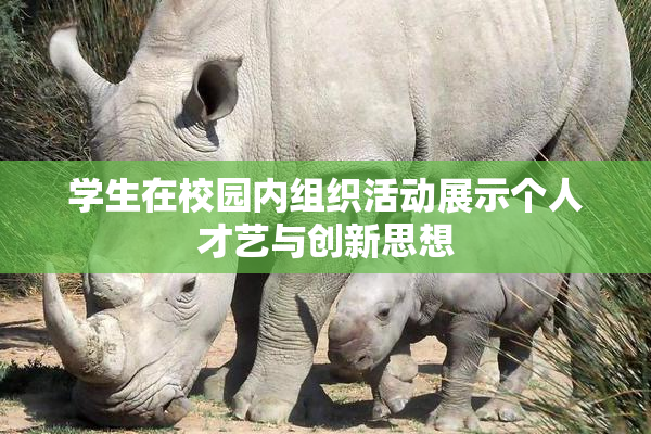学生在校园内组织活动展示个人才艺与创新思想
