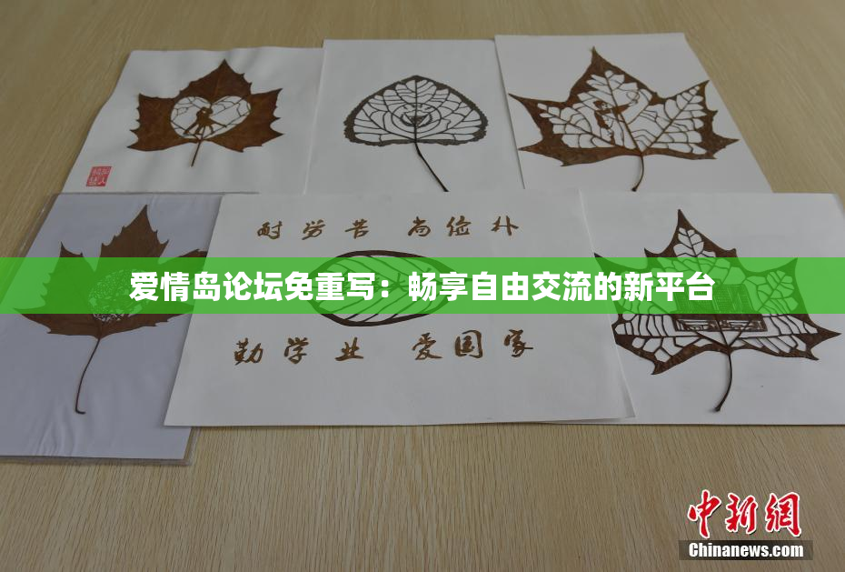 爱情岛论坛免重写：畅享自由交流的新平台