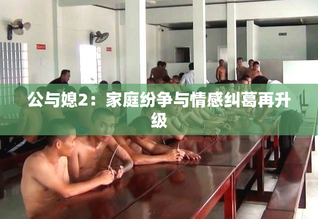公与媳2：家庭纷争与情感纠葛再升级
