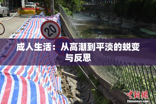 成人生活：从高潮到平淡的蜕变与反思