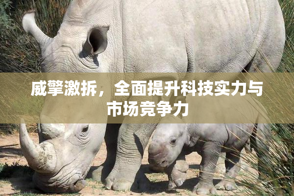 威擎激拆，全面提升科技实力与市场竞争力