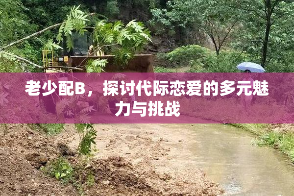 老少配B，探讨代际恋爱的多元魅力与挑战