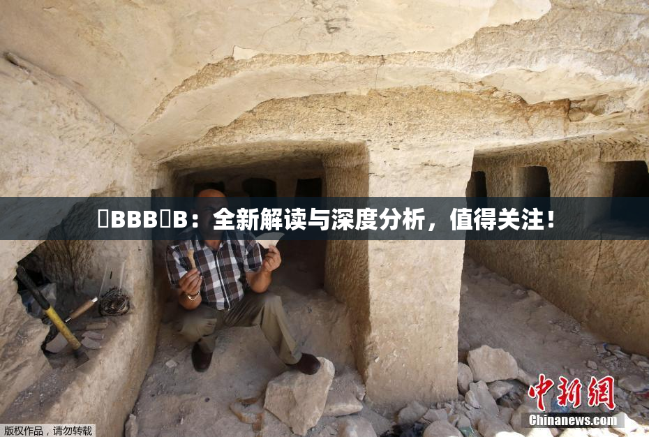 嫰BBB槡B：全新解读与深度分析，值得关注！