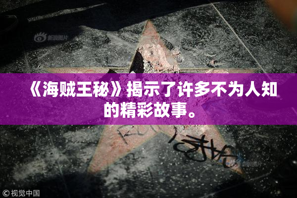 《海贼王秘》揭示了许多不为人知的精彩故事。