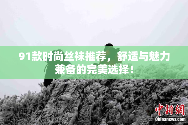 91款时尚丝袜推荐，舒适与魅力兼备的完美选择！