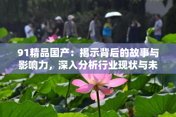 91精品国产：揭示背后的故事与影响力，深入分析行业现状与未来趋势