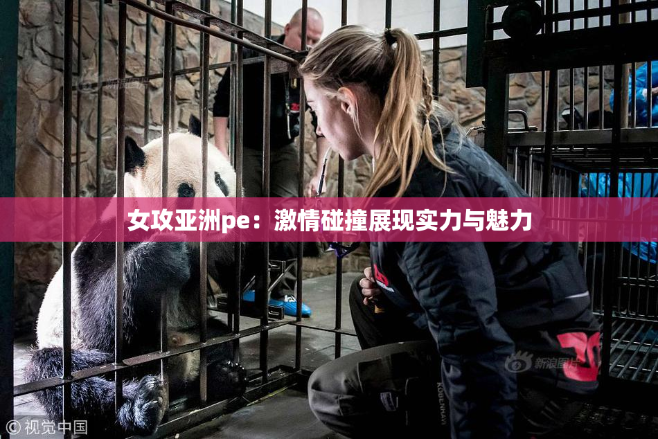 女攻亚洲pe：激情碰撞展现实力与魅力