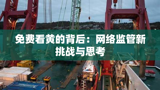 免费看黄的背后：网络监管新挑战与思考