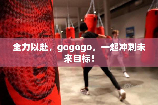 全力以赴，gogogo，一起冲刺未来目标！