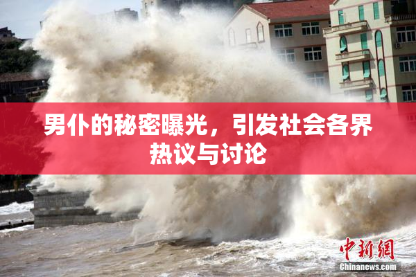 男仆的秘密曝光，引发社会各界热议与讨论
