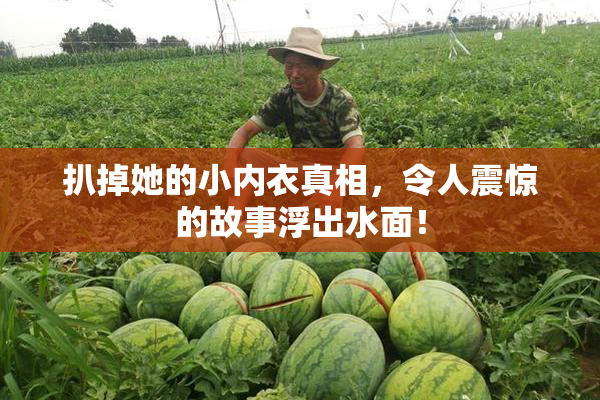 扒掉她的小内衣真相，令人震惊的故事浮出水面！