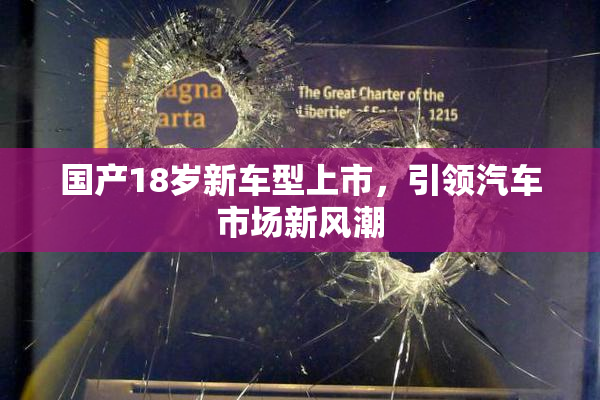 国产18岁新车型上市，引领汽车市场新风潮