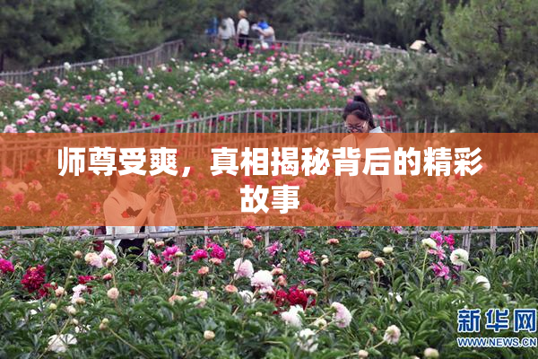 师尊受爽，真相揭秘背后的精彩故事