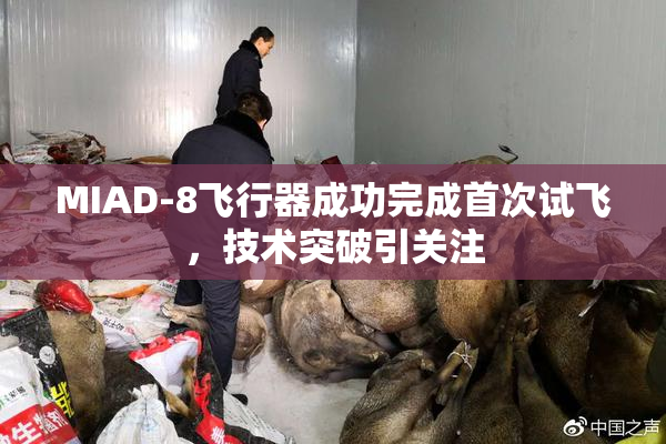 MIAD-8飞行器成功完成首次试飞，技术突破引关注