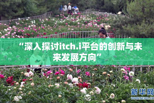 “深入探讨itch.i平台的创新与未来发展方向”