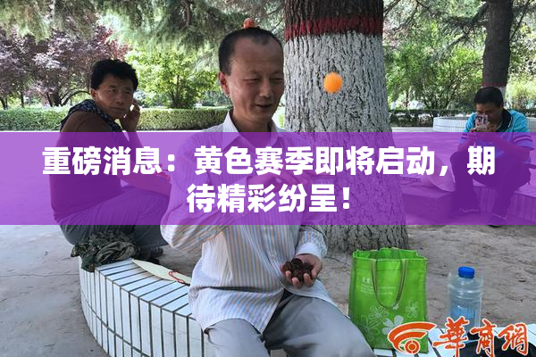 重磅消息：黄色赛季即将启动，期待精彩纷呈！