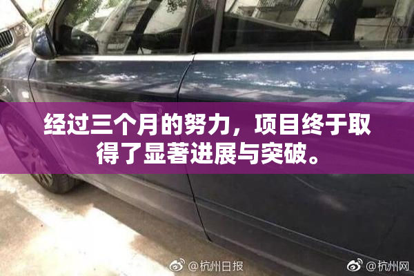 经过三个月的努力，项目终于取得了显著进展与突破。