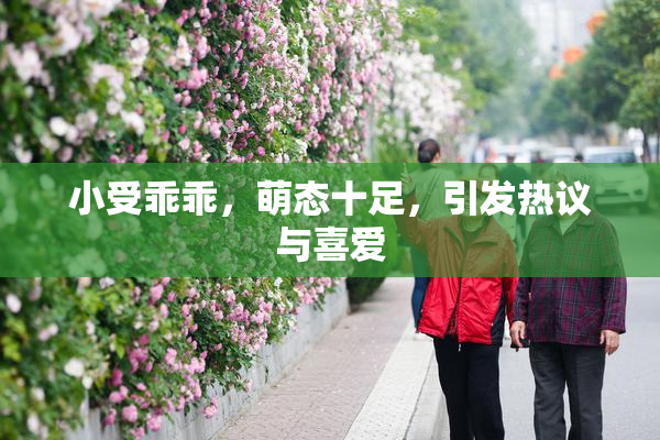 小受乖乖，萌态十足，引发热议与喜爱
