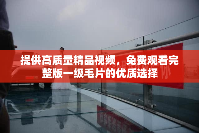 提供高质量精品视频，免费观看完整版一级毛片的优质选择