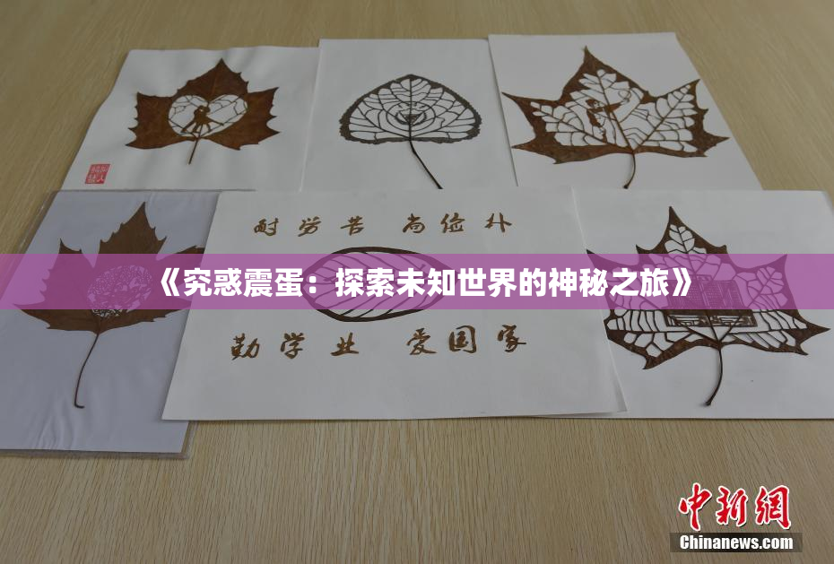 《究惑震蛋：探索未知世界的神秘之旅》