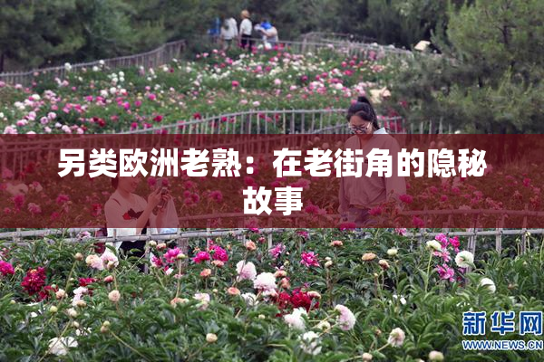 另类欧洲老熟：在老街角的隐秘故事