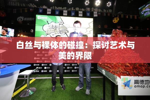 白丝与裸体的碰撞：探讨艺术与美的界限