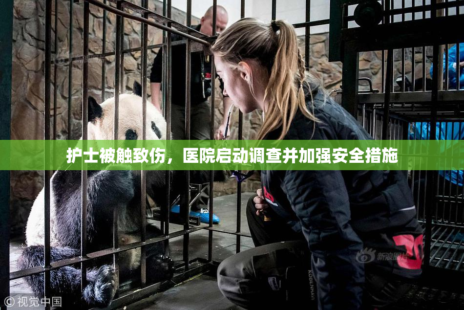 护士被触致伤，医院启动调查并加强安全措施