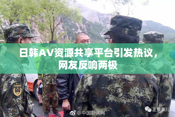 日韩AV资源共享平台引发热议，网友反响两极