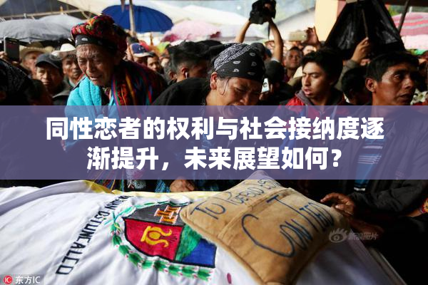 同性恋者的权利与社会接纳度逐渐提升，未来展望如何？