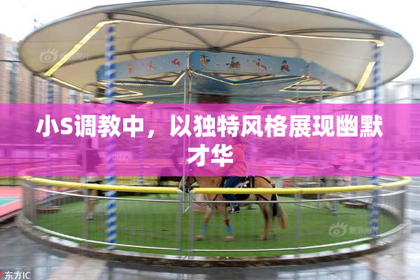 小S调教中，以独特风格展现幽默才华