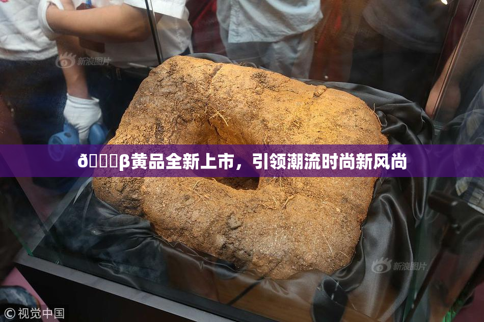 🔞β黄品全新上市，引领潮流时尚新风尚