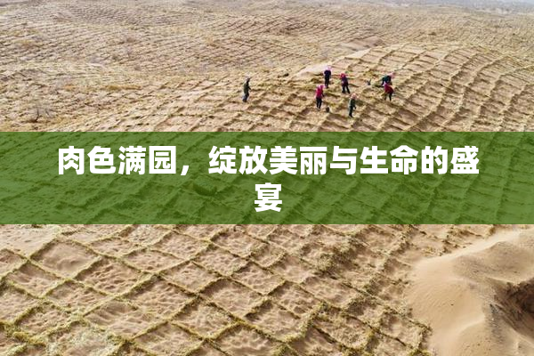 肉色满园，绽放美丽与生命的盛宴