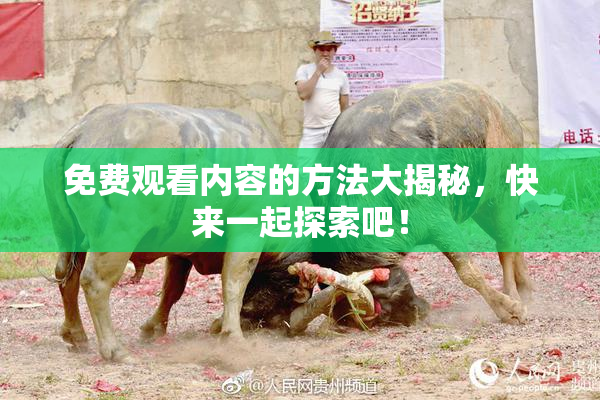 免费观看内容的方法大揭秘，快来一起探索吧！
