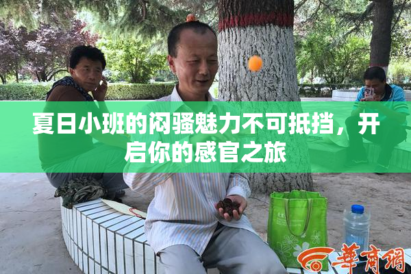 夏日小班的闷骚魅力不可抵挡，开启你的感官之旅