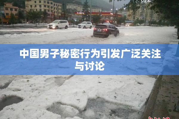 中国男子秘密行为引发广泛关注与讨论