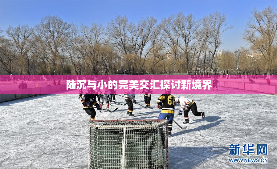 陆沉与小的完美交汇探讨新境界