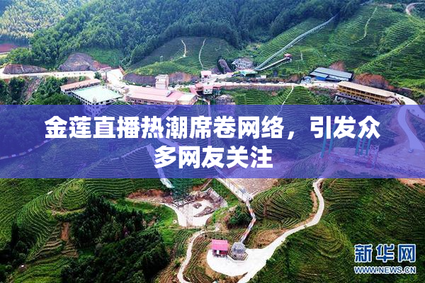 金莲直播热潮席卷网络，引发众多网友关注