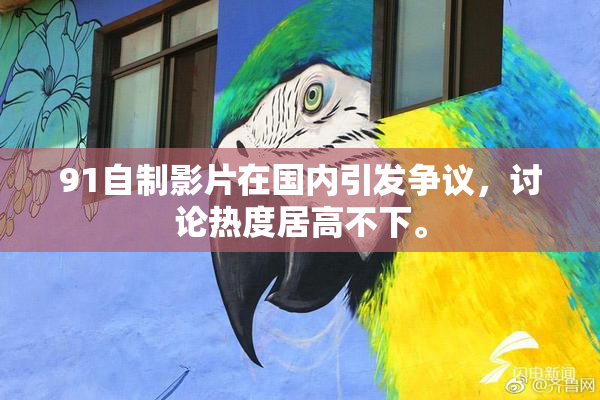 91自制影片在国内引发争议，讨论热度居高不下。