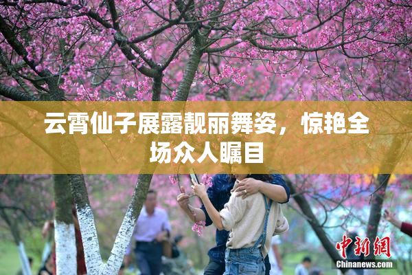 云霄仙子展露靓丽舞姿，惊艳全场众人瞩目