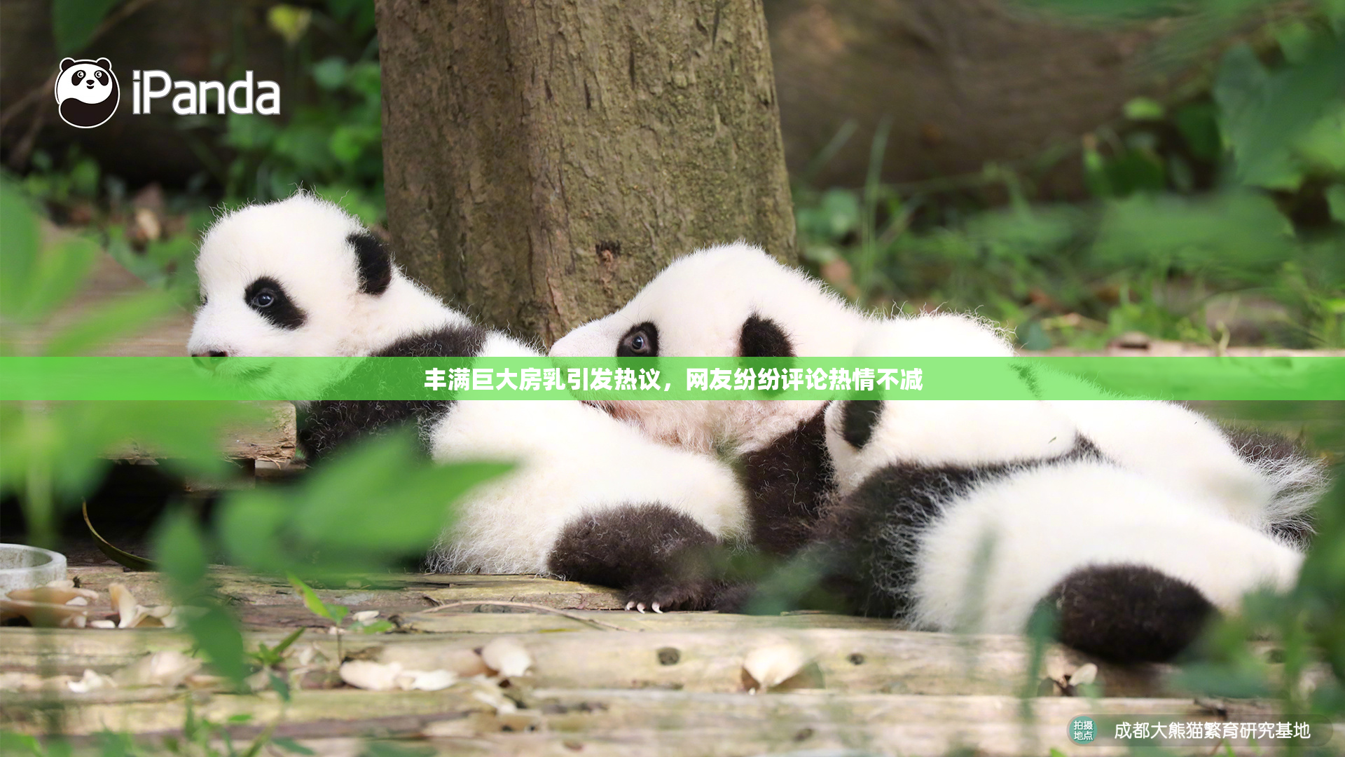 丰满巨大房乳引发热议，网友纷纷评论热情不减