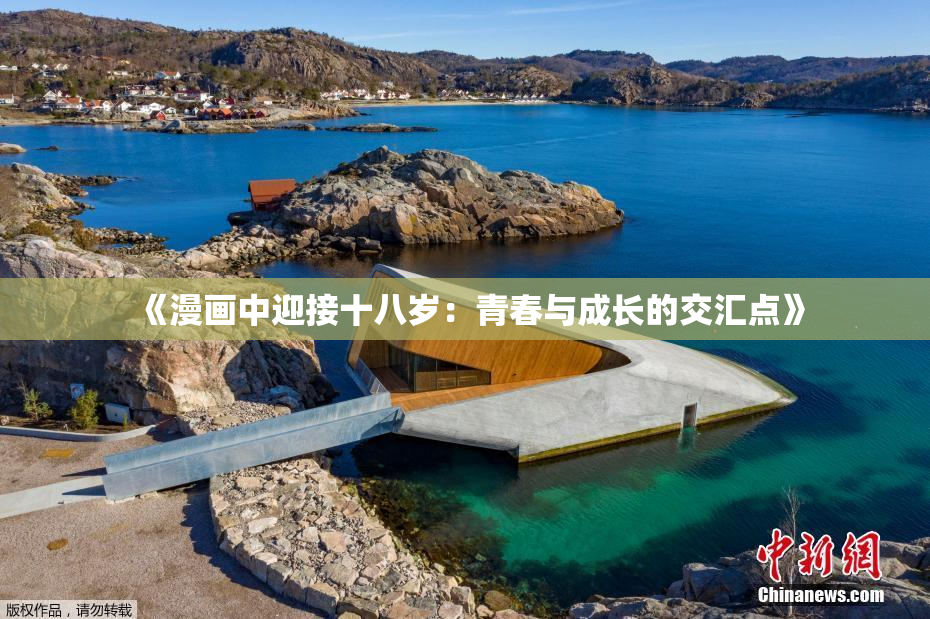 《漫画中迎接十八岁：青春与成长的交汇点》