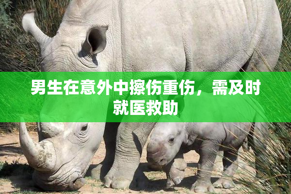 男生在意外中擦伤重伤，需及时就医救助