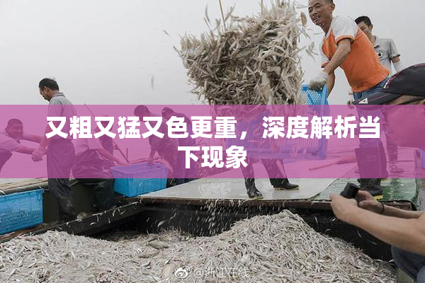 又粗又猛又色更重，深度解析当下现象