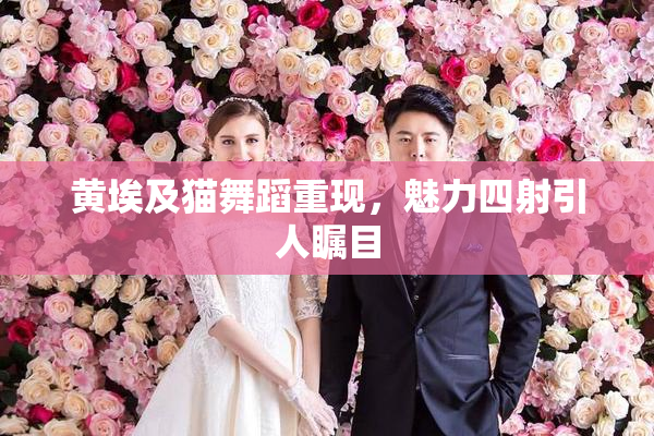 黄埃及猫舞蹈重现，魅力四射引人瞩目